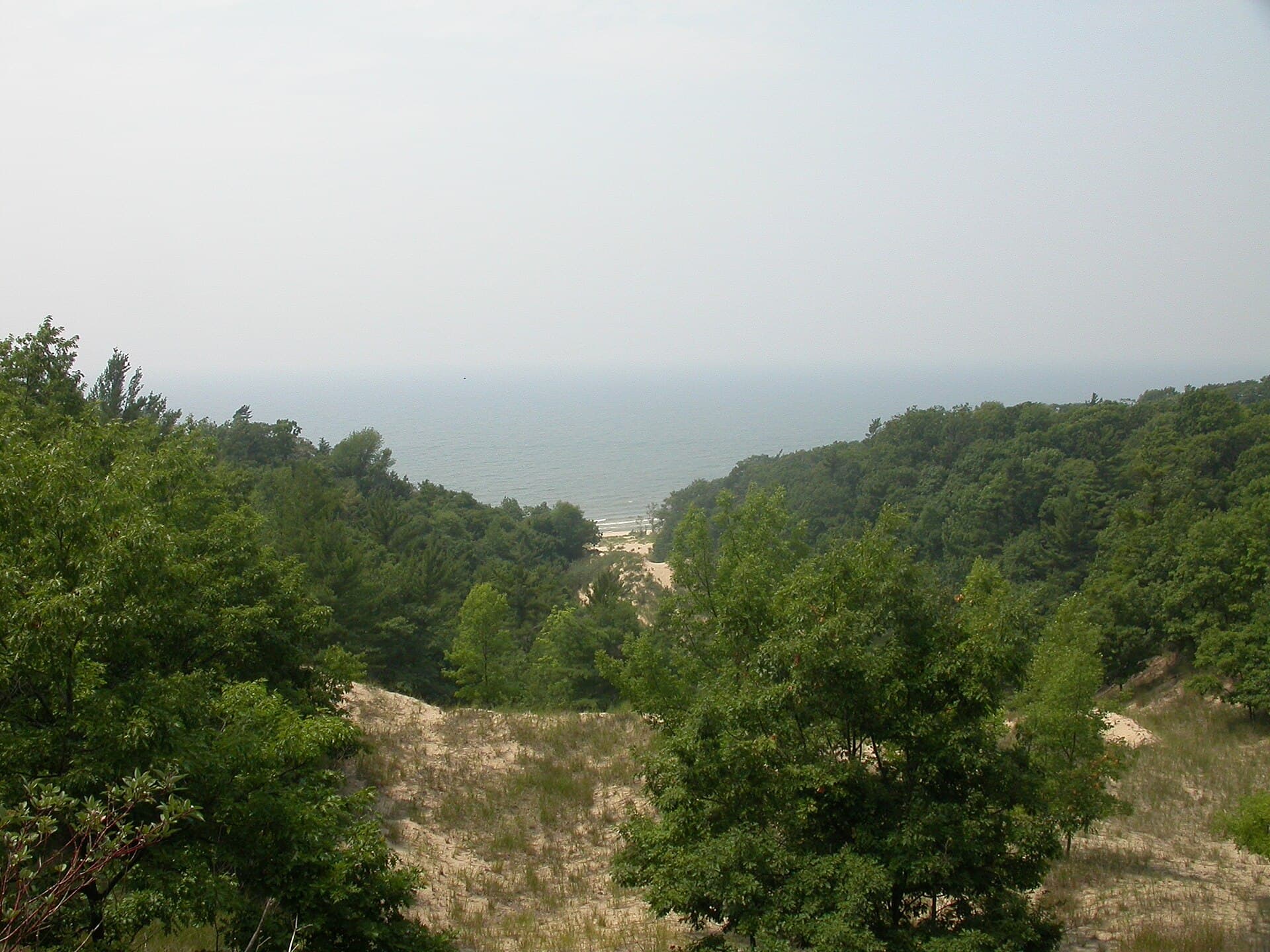 The wooded Lake Michigan dunes and shoreline at P.J. Hoffmaster State Park near Muskegon